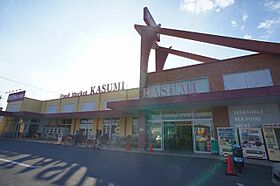 エコ　ラフィネ　Ｃ 00101 ｜ 群馬県館林市西美園町758-47（賃貸アパート1LDK・1階・46.75㎡） その14