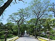 住吉公園 804m