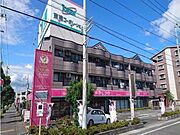 同型モデル