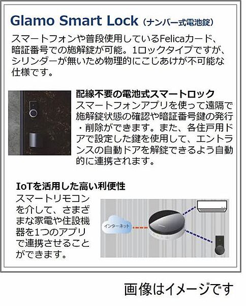 ベンガレンシス