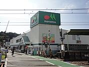 マルエツ柿生店 260m
