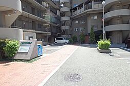 8 / 17