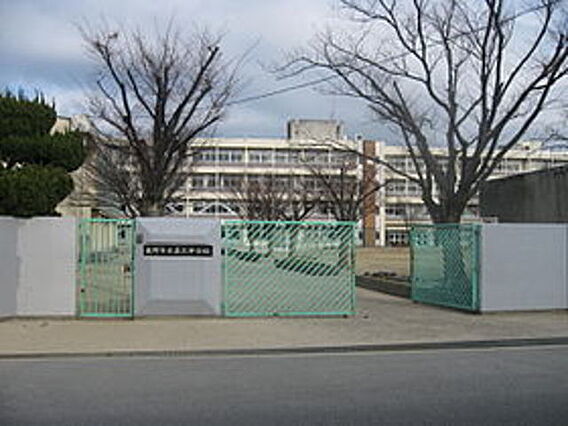 ヴェヌスタ郡津_周辺_8