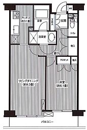 ステラメゾン武蔵小山 5階1LDKの間取り