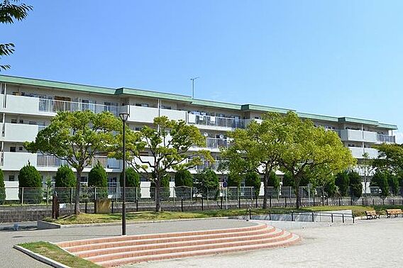 牟田ハイツ_トップ画像