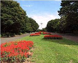 コティ航空公園