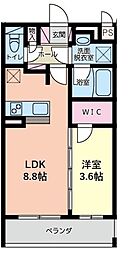 秦野市鈴張町マンション 1LDKの間取図画像