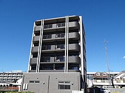 エムウッド　グラーツィア
