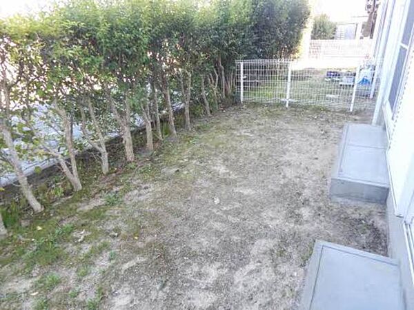 画像6:庭