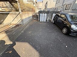 グレイスメジロ