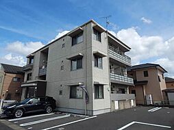アンビシアＹ