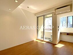 カスタリア銀座 705 7階ワンルームのリビング/ダイニング