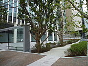 2009年9月撮影