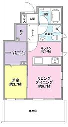 ツェルマット 1階1LDKの間取り