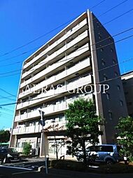 パインエクセレント