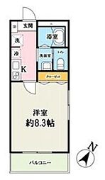 アトラス川越 1階1Kの間取り