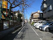 同型モデル