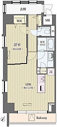 シュトラーレ神山町 1LDKの間取図画像