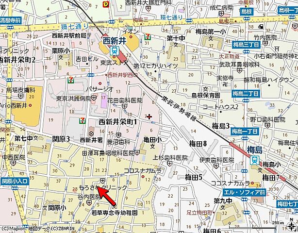 地図