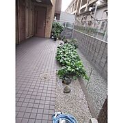 共用設備