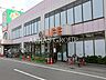 周辺：ライフ葛飾鎌倉店 325m