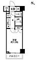 パレステュディオ新宿パークサイド11階9.9万円