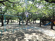 中央公園 1066m