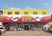 スーパードラッグシグマ柏原大県店 699m
