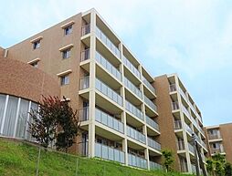 S-FORT横浜青葉台 1DKの写真