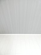 同仕様