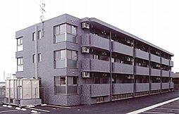 アクティブ