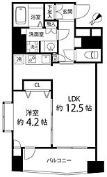 レニール本駒込 10階1LDKの間取り