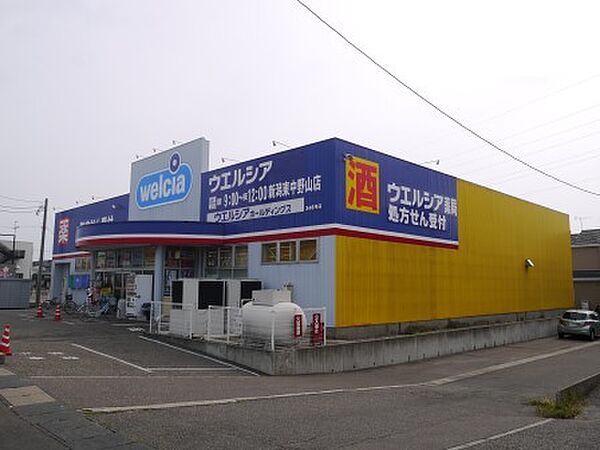 画像24:ウエルシア薬局新潟東中野山店 823m