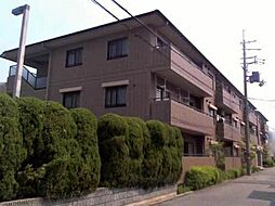 エリシオン宝塚