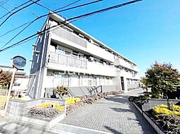 セントポーリアII