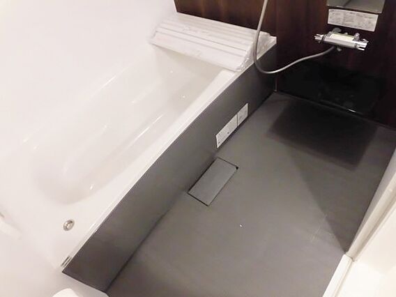 ルピナスＡ_その他_1