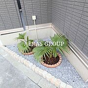 外観・土地