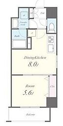 プレミアータ ルーチェ 4階1DKの間取り