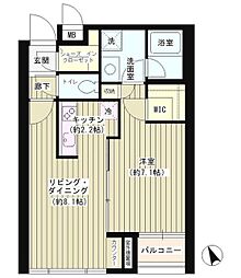 ポラリス 1LDKの間取図画像