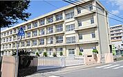 明石市立錦浦小学校 245m