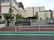板橋区立志村第三中学校 493m