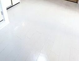 キャッスルマンション大森B号館 ワンルームの写真
