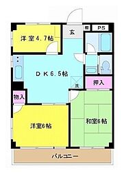 ベルグレース 3DKの間取図画像