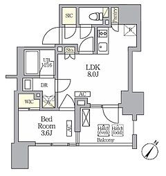 テラス神田猿楽町 1LDKの間取図画像