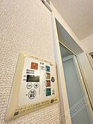 バス