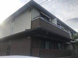 花水木