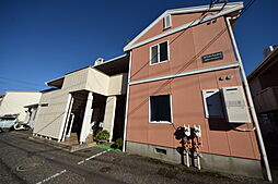 ホワイトペルテC