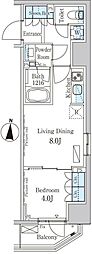 パークアクシス錦糸町ヴェール 1LDKの間取図画像
