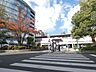 周辺：小岩駅(JR 総武線) 274m