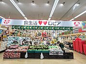 ロピア 東村山島忠ホームズ店 384m